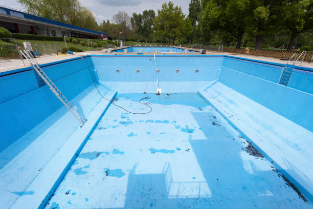 Best Professional water damage repair  in Wallace, FL