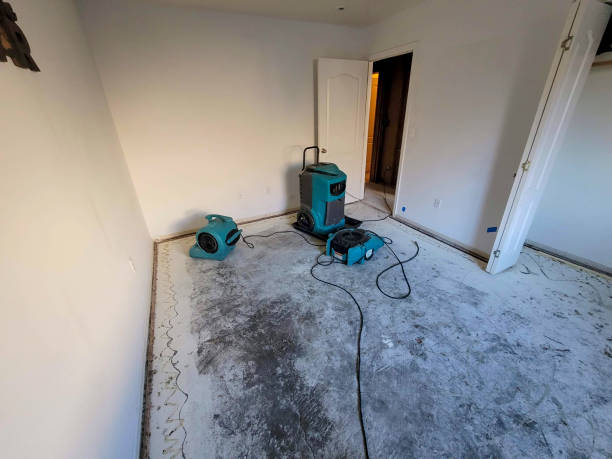 Best Water damage contractors near me  in Wallace, FL