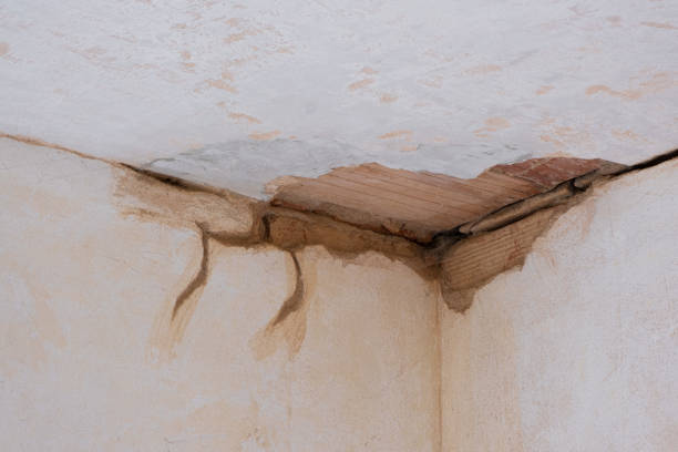 Best Water damage restoration near me  in Wallace, FL