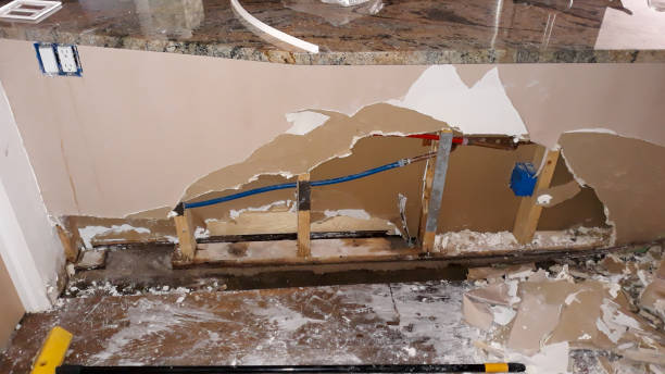 Best 24-hour water damage restoration  in Wallace, FL