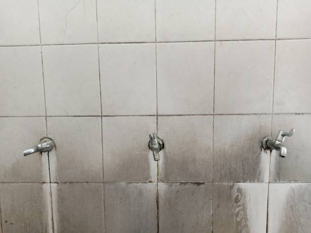 Best Emergency water damage restoration  in Wallace, FL