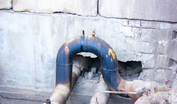 Best Ceiling water damage repair  in Wallace, FL