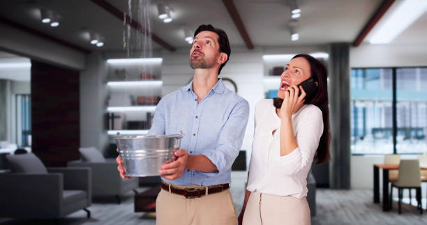 Best Water damage restoration near me  in Wallace, FL