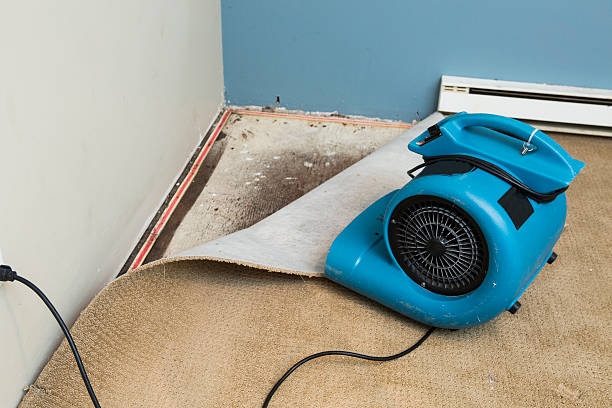 Best Water damage restoration insurance claims  in Wallace, FL